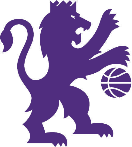 Sacramento Kings 2016-Pres Alternate Logo v4 DIY iron on transfer (heat transfer)
